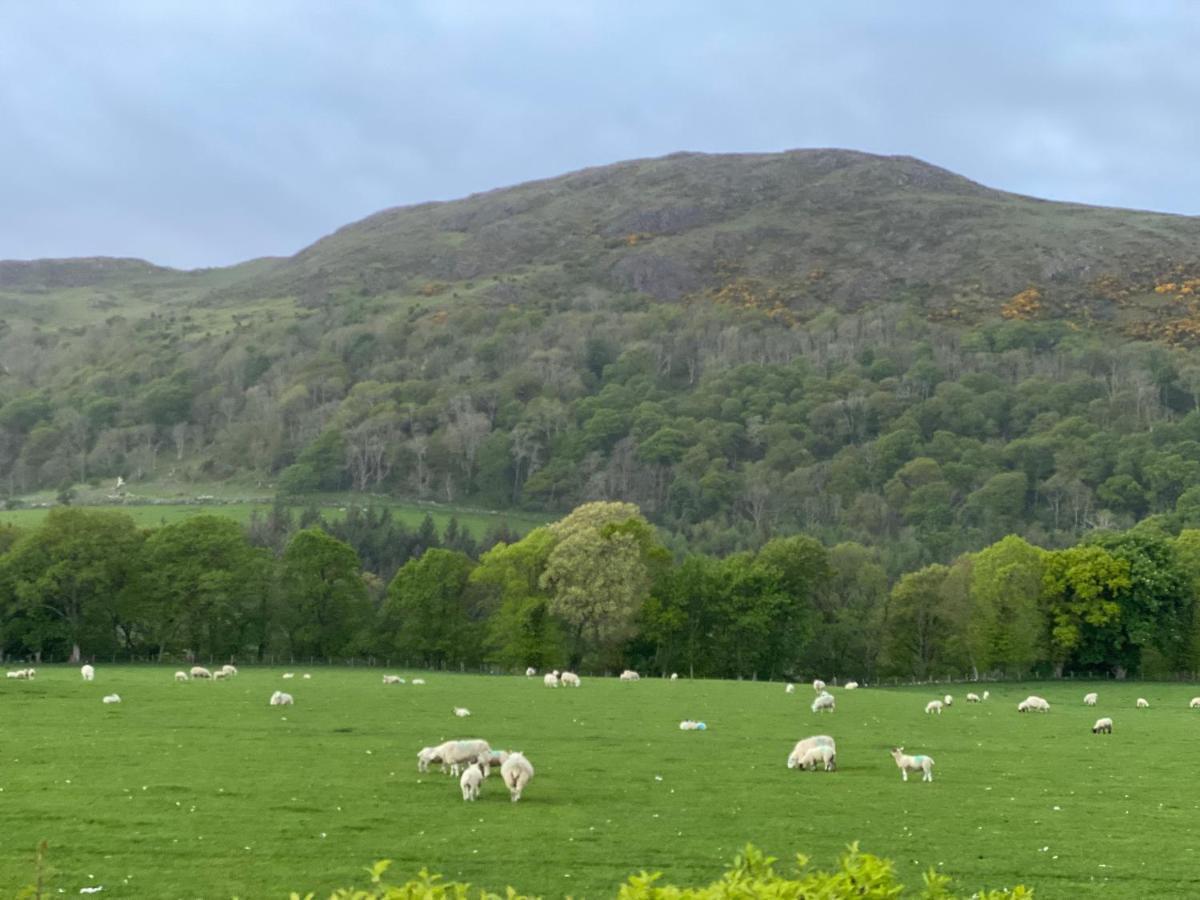 Tig Cottage - A Rural, Quirky, Pet Friendly 2 Bedroom Cottage Near Ballantrae Extérieur photo