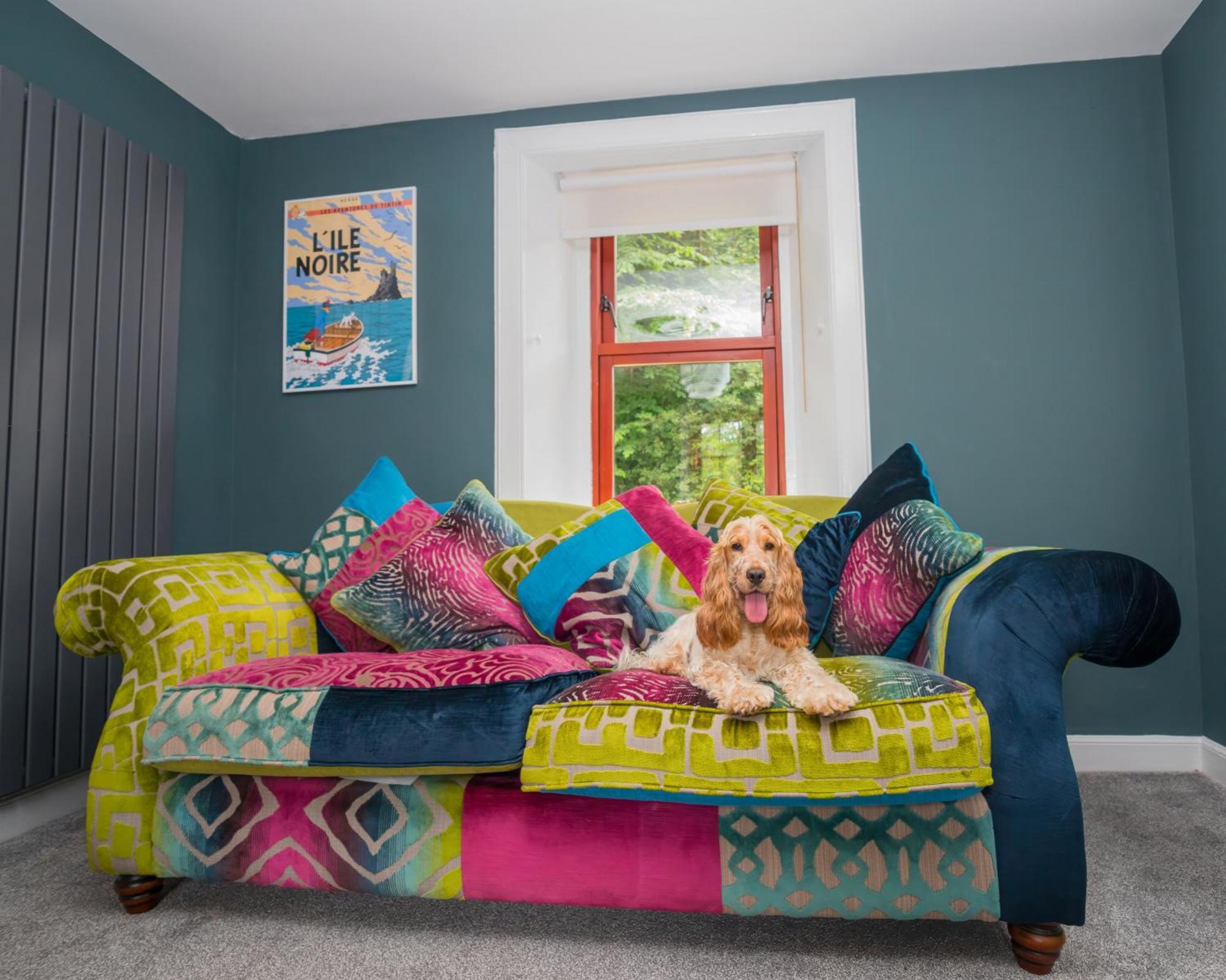 Tig Cottage - A Rural, Quirky, Pet Friendly 2 Bedroom Cottage Near Ballantrae Extérieur photo