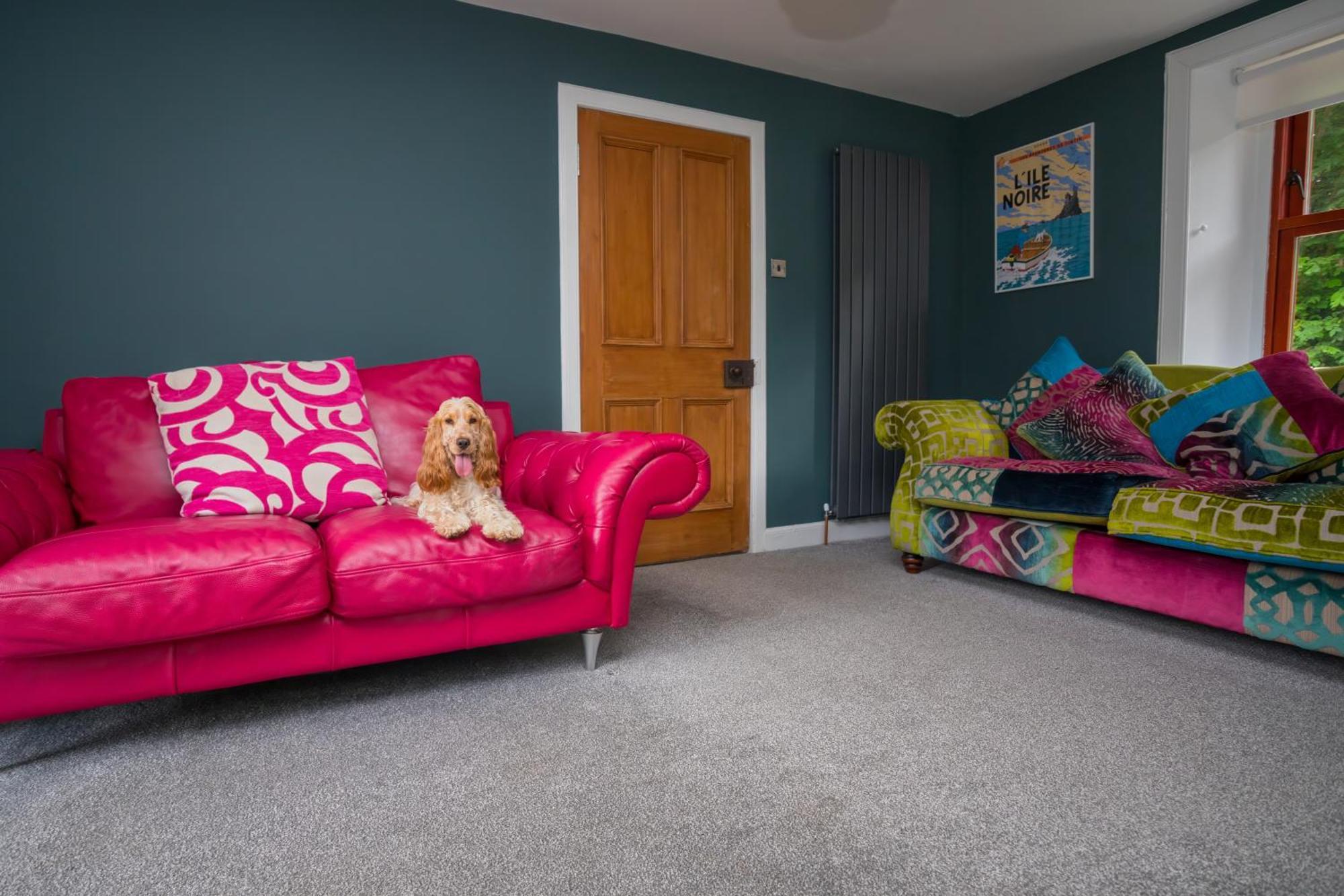 Tig Cottage - A Rural, Quirky, Pet Friendly 2 Bedroom Cottage Near Ballantrae Extérieur photo