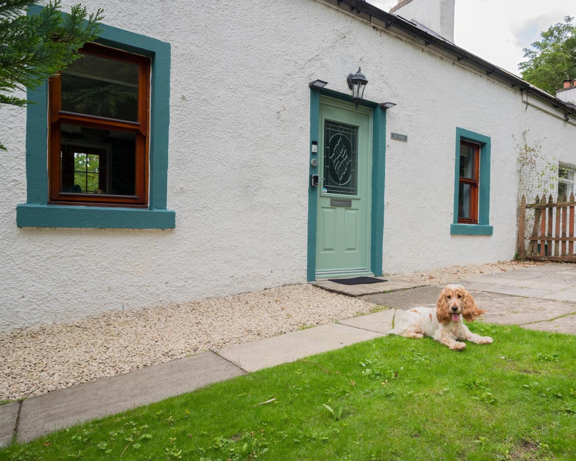 Tig Cottage - A Rural, Quirky, Pet Friendly 2 Bedroom Cottage Near Ballantrae Extérieur photo